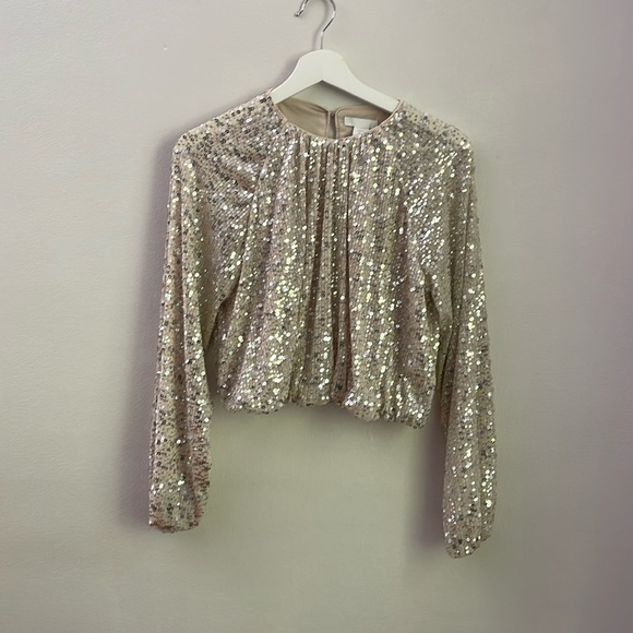 HM Gathered Cropped Sequin Long-sleeve Top - Picture 1 of 6